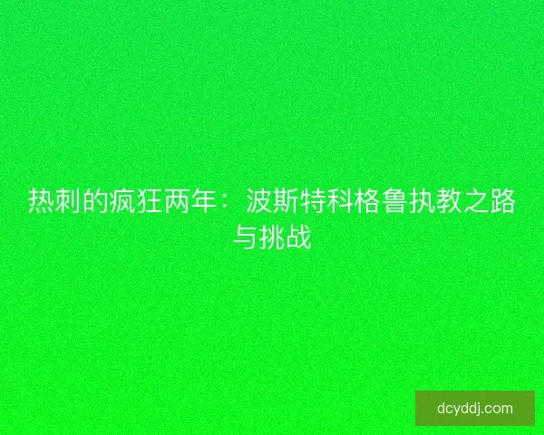 热刺的疯狂两年：波斯特科格鲁执教之路与挑战